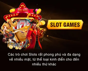 Hoàn Trả VIP